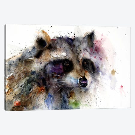 Raccoon Canvas Print #DCR71} by Dean Crouser Canvas Wall Art