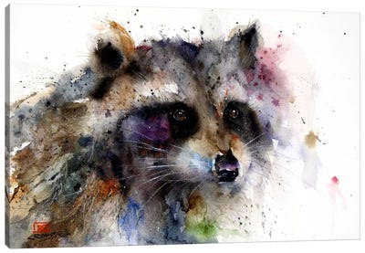Raccoon Canvas Art Print - Dean Crouser