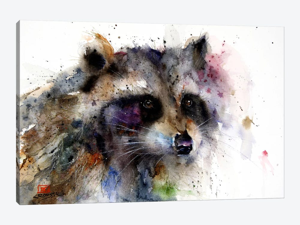 Raccoon by Dean Crouser 1-piece Canvas Art Print