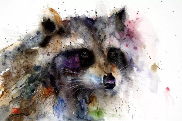 Dean Crouser: Raccoon by Dean Crouser