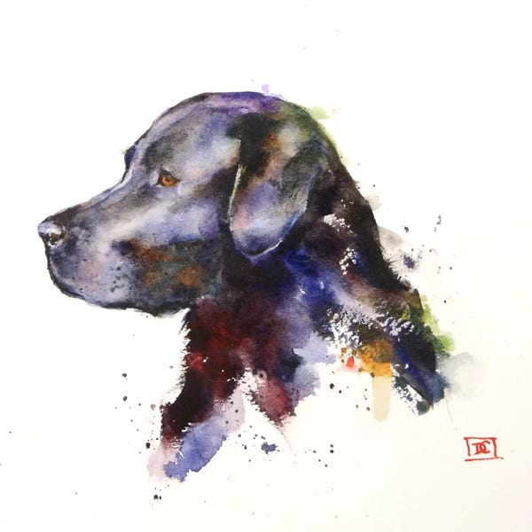 Labrador Retrievers: Dog by Dean Crouser