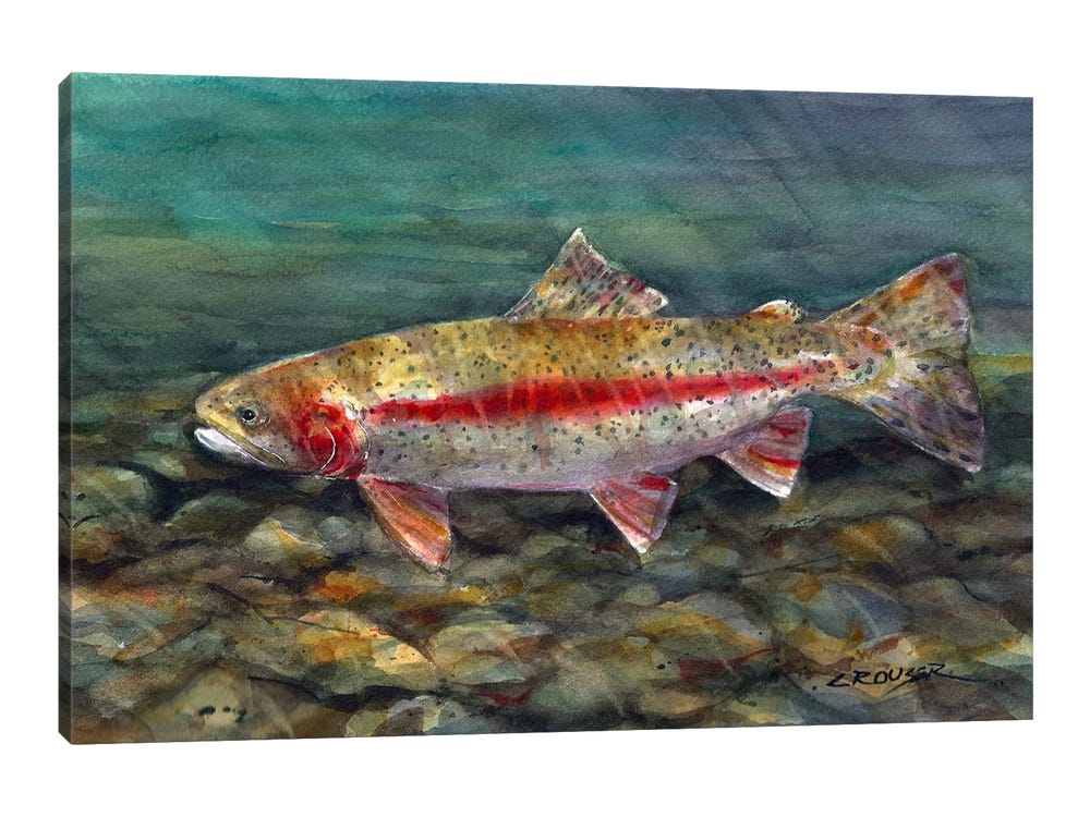 CUTTHROAT TROUT Watercolor Fish Print, Fish Art by Dean Crouser