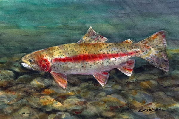 Trout: Under the Water by Dean Crouser