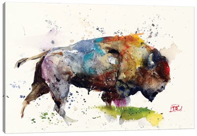 Bison II Canvas Art Print - Animal Lover