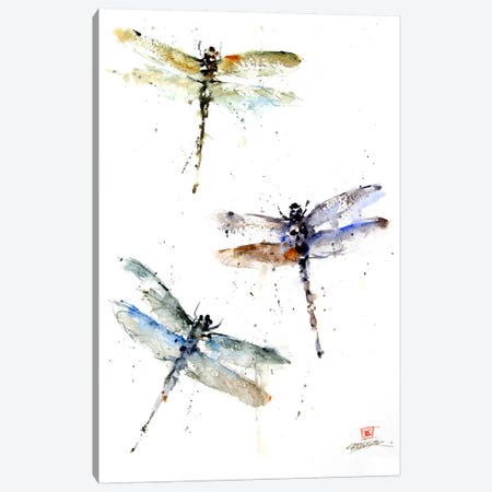 Dragonflies Canvas Print #DCR8} by Dean Crouser Canvas Art