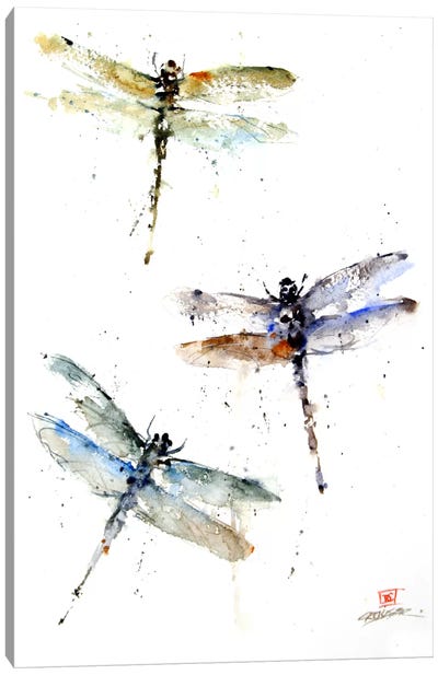 Dragonflies Canvas Art Print - Dean Crouser