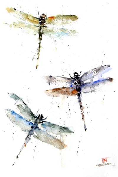 Dean Crouser: Dragonflies by Dean Crouser