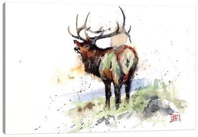 Elk III Canvas Art Print - Colorful Arctic