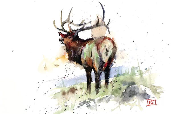 Elk