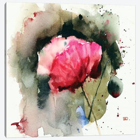 Evening Poppy Canvas Print #DCR93} by Dean Crouser Canvas Wall Art