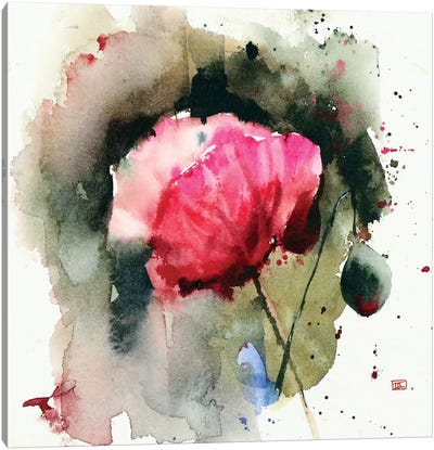 Evening Poppy Canvas Art Print - Dean Crouser