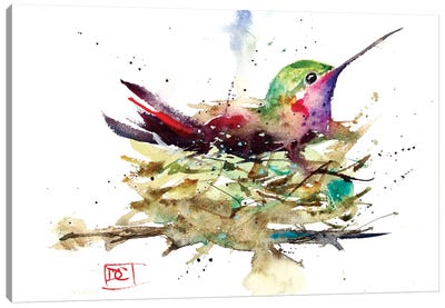 Hummer In Nest Canvas Art Print - Bird Art
