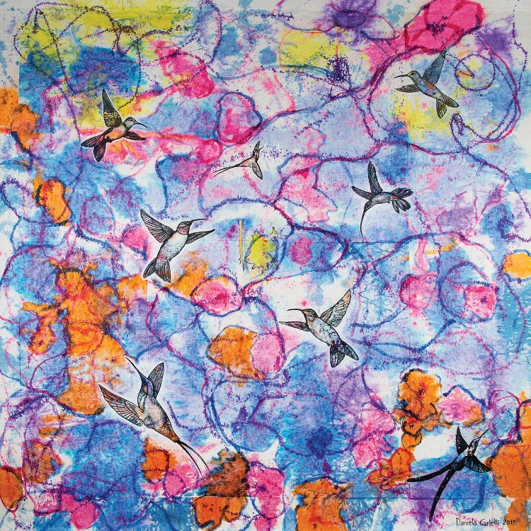 Dance Of The Humming Birds