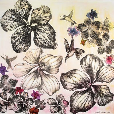 First Light by Daniela Carletti canvas print