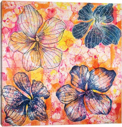 Four Orchids Canvas Art Print - Daniela Carletti