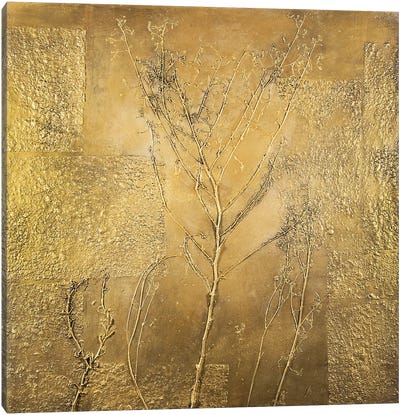 Golden Tree Canvas Art Print - Daniela Carletti