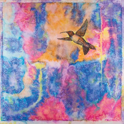 Humming Bird by Daniela Carletti canvas print