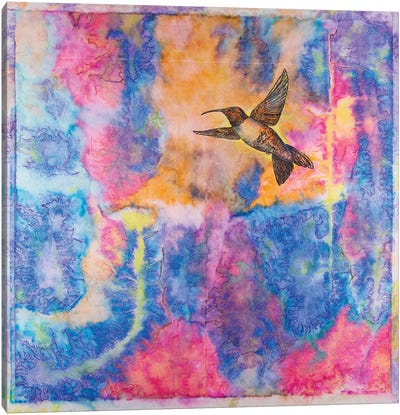 Humming Bird Canvas Art Print - Daniela Carletti