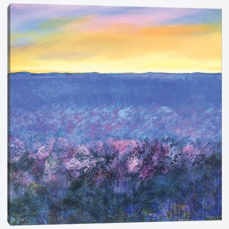 Sunset Canvas Print #DCT39} by Daniela Carletti Canvas Art