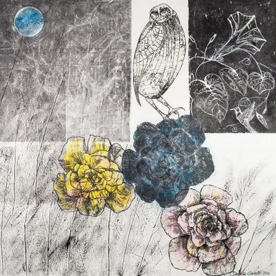 The Night Of The Elf Owl by Daniela Carletti canvas print