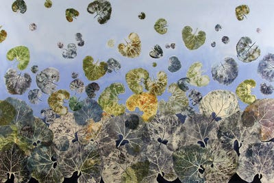 Dancing Leaves by Daniela Carletti canvas print