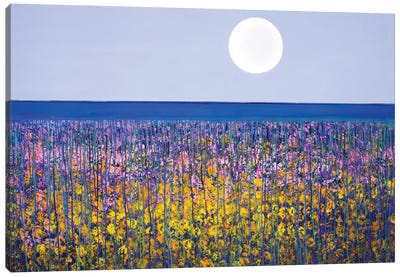 Spring Morning Canvas Art Print - Color Fields
