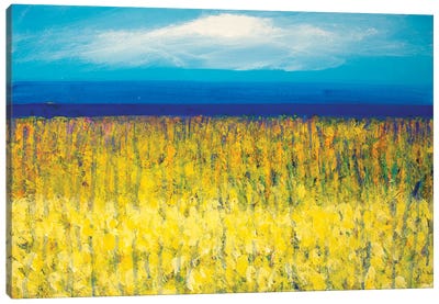 Small Spring 2020 Canvas Art Print - Color Fields