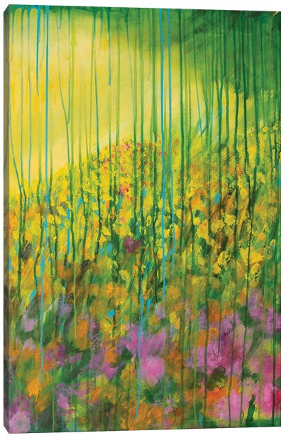 Wild Garden II, 2021 Canvas Art Print - Daniela Carletti