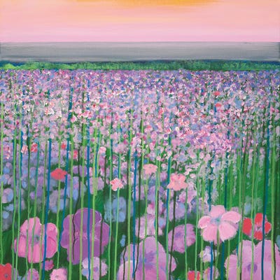 Pink dawn by Daniela Carletti canvas print