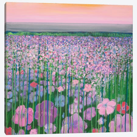Pink dawn Canvas Print #DCT66} by Daniela Carletti Canvas Artwork
