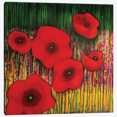 Red Poppies Canvas Print #DCT67} by Daniela Carletti Canvas Art
