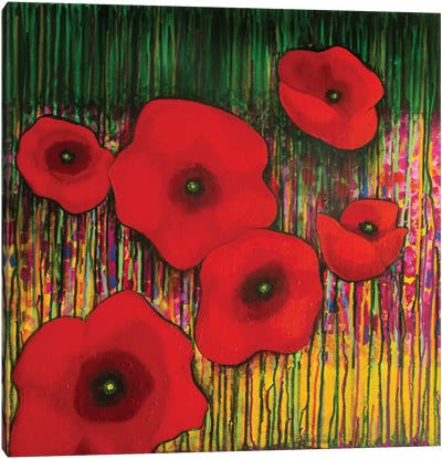 Red Poppies Canvas Art Print - Daniela Carletti
