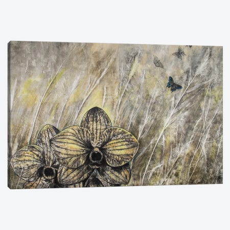 Butterflies Migration I Canvas Print #DCT8} by Daniela Carletti Canvas Art
