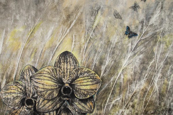 Daffodils: Butterflies Migration I by Daniela Carletti