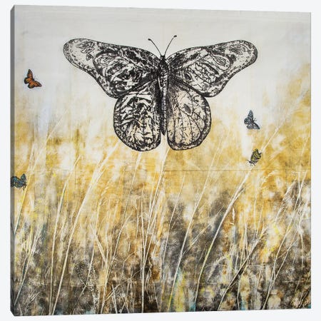 Butterflies Migration II Canvas Print #DCT9} by Daniela Carletti Canvas Wall Art
