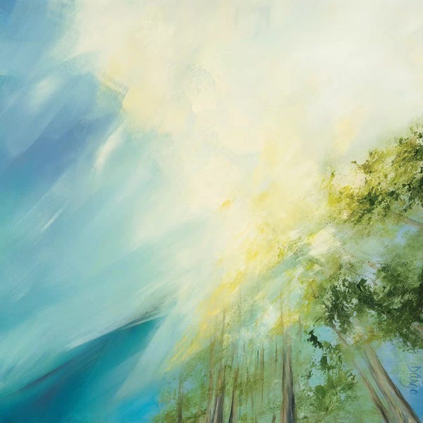 Dina D'Argo: Radiance by Dina D'Argo