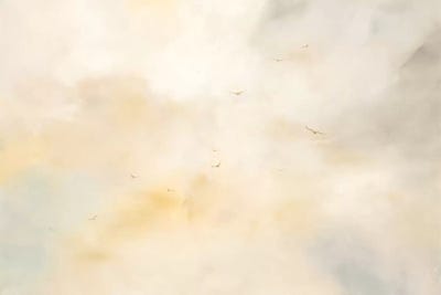 Second Chances by Dina D'Argo framed wall art