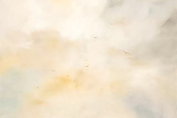 Dina DArgo: Second Chances by Dina DArgo