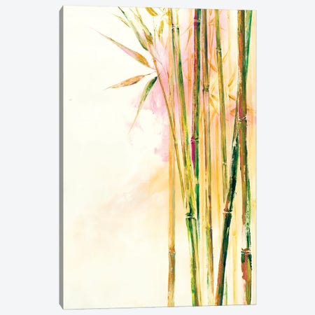 Bamboo III Canvas Print #DDA23} by Dina DArgo Art Print