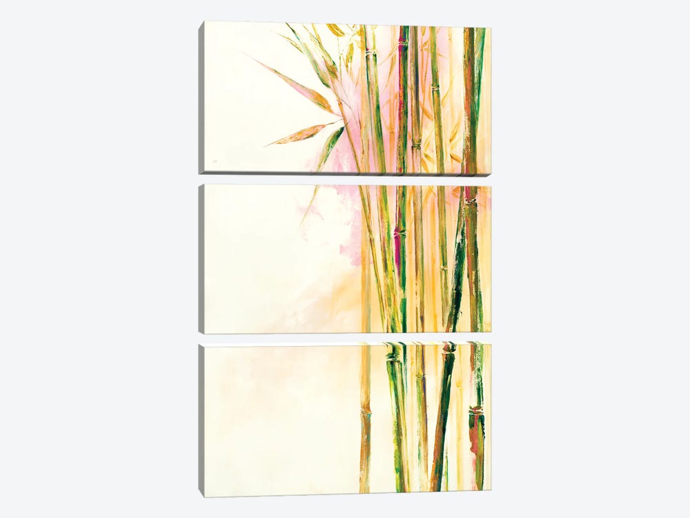 Bamboo III by Dina DArgo 3-piece Art Print