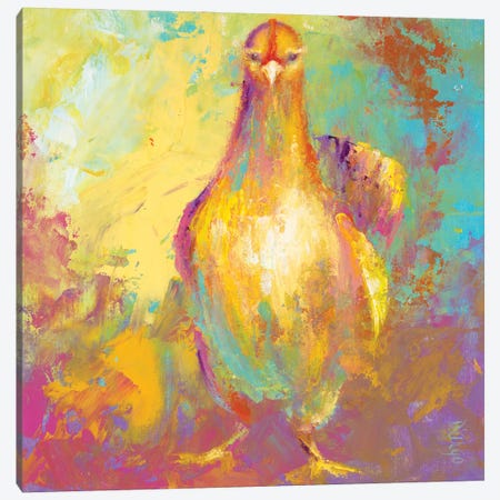 Funky Chicken II Canvas Print #DDA26} by Dina DArgo Canvas Art