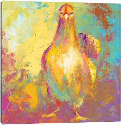 Funky Chicken II Canvas Art Print