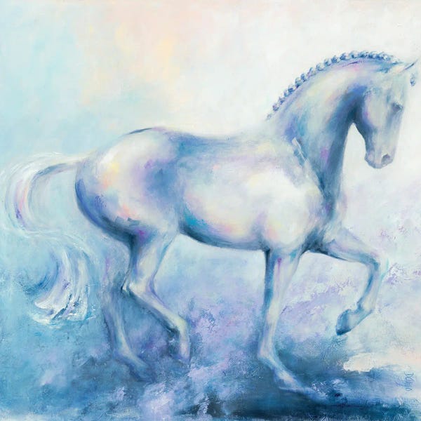 Dina D'Argo: Spanish Grey by Dina D'Argo