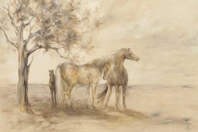 Family Tree by Dina D'Argo framed wall art