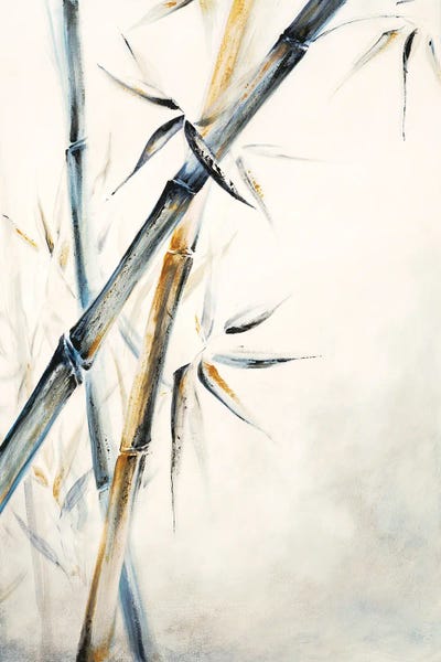 Dina DArgo: Black Bamboo by Dina DArgo