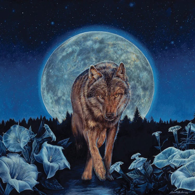 Nocturne Ascent by David Behrens wall art