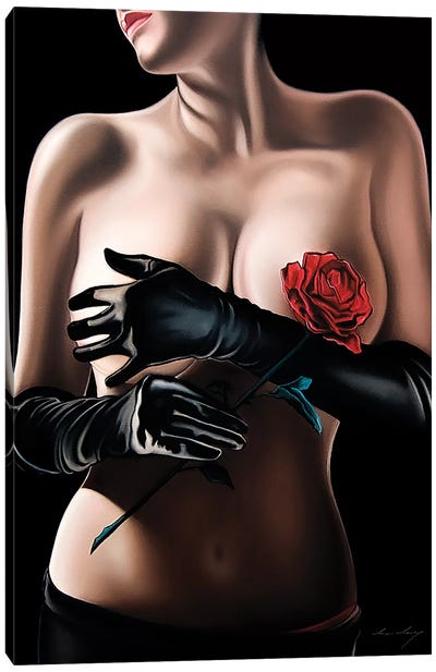 Kiss From A Rose Canvas Art Print - Drew Darcy