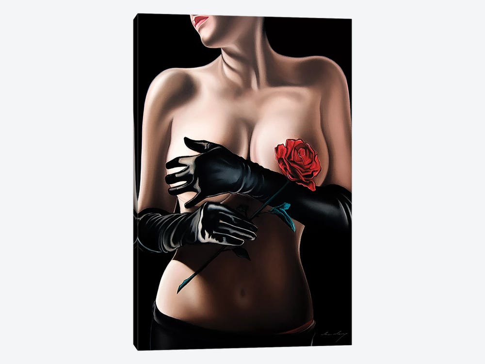 Kiss From A Rose by Drew Darcy 1-piece Canvas Art