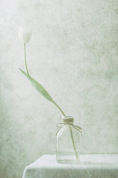 Ephemeral White II by Delphine Devos wall art