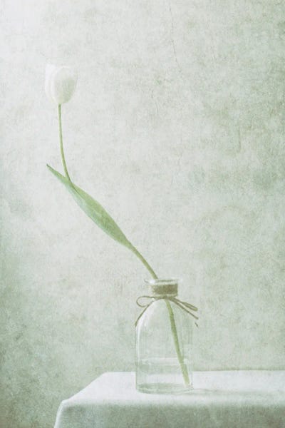 Ephemeral White II